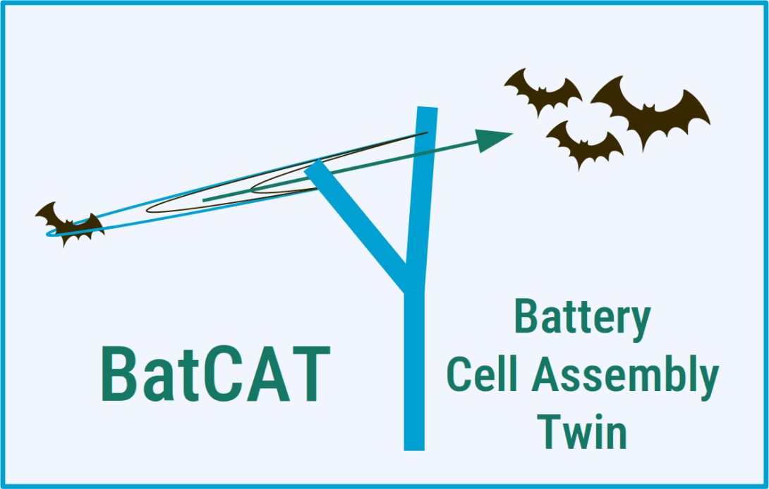 BatCAT logo