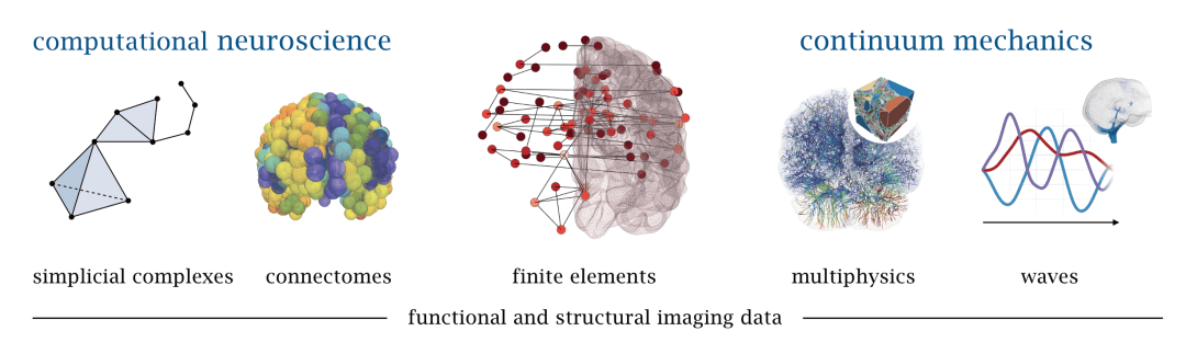 The concept of Braincomplexes illustrated