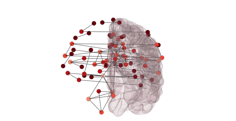 BrainComplexes