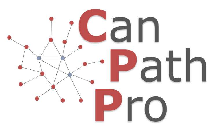 CanPathPro: Generation of the CanPath prototype - a platform for predictive cancer pathway modeling