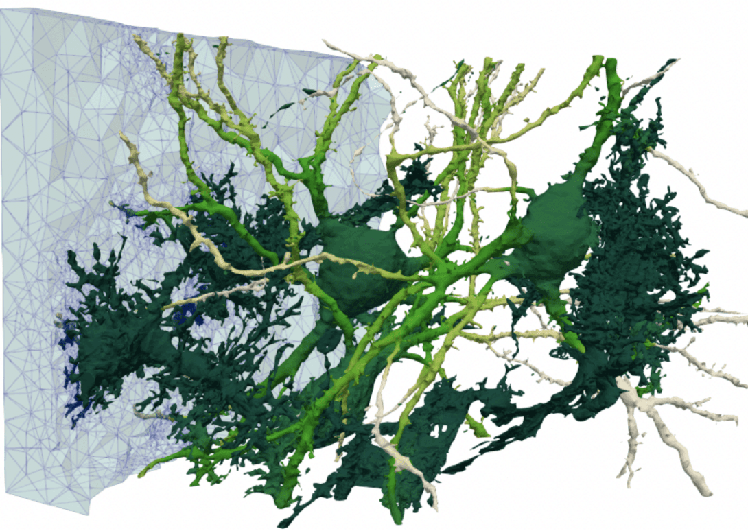 Figure represents cutting scientific computing as done by Numerical Analysis and Scientific Computing members at Simula.